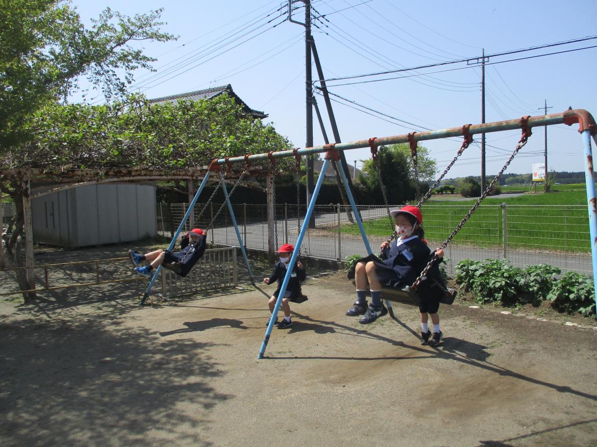 IMG_4809 IMG_4809