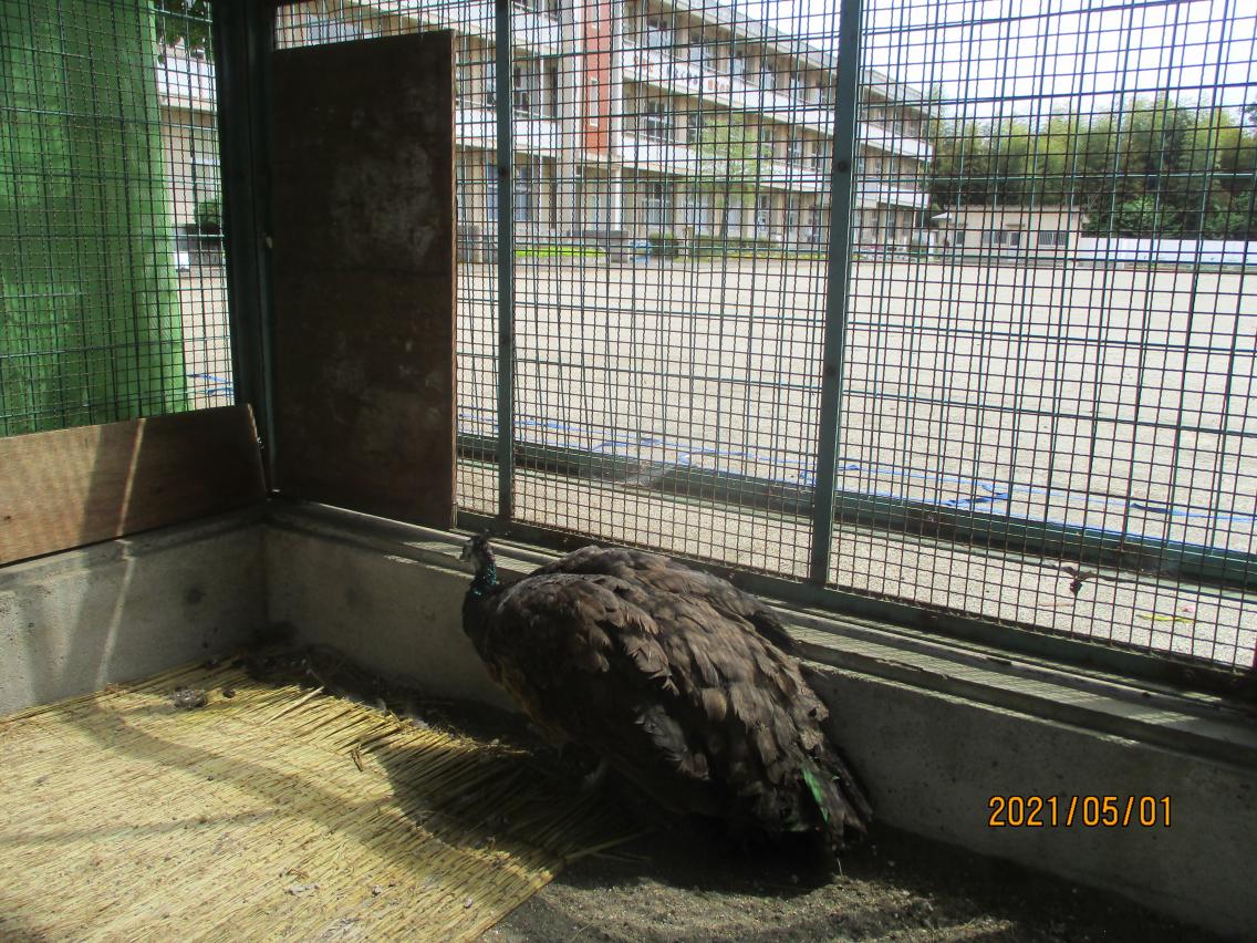 IMG_4988 IMG_4988