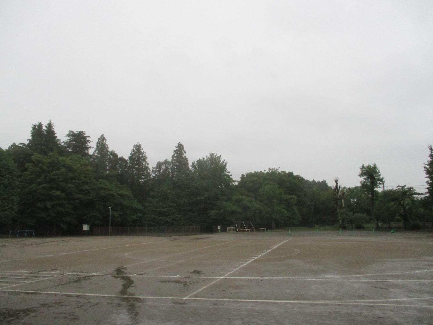 IMG_5594 IMG_5594