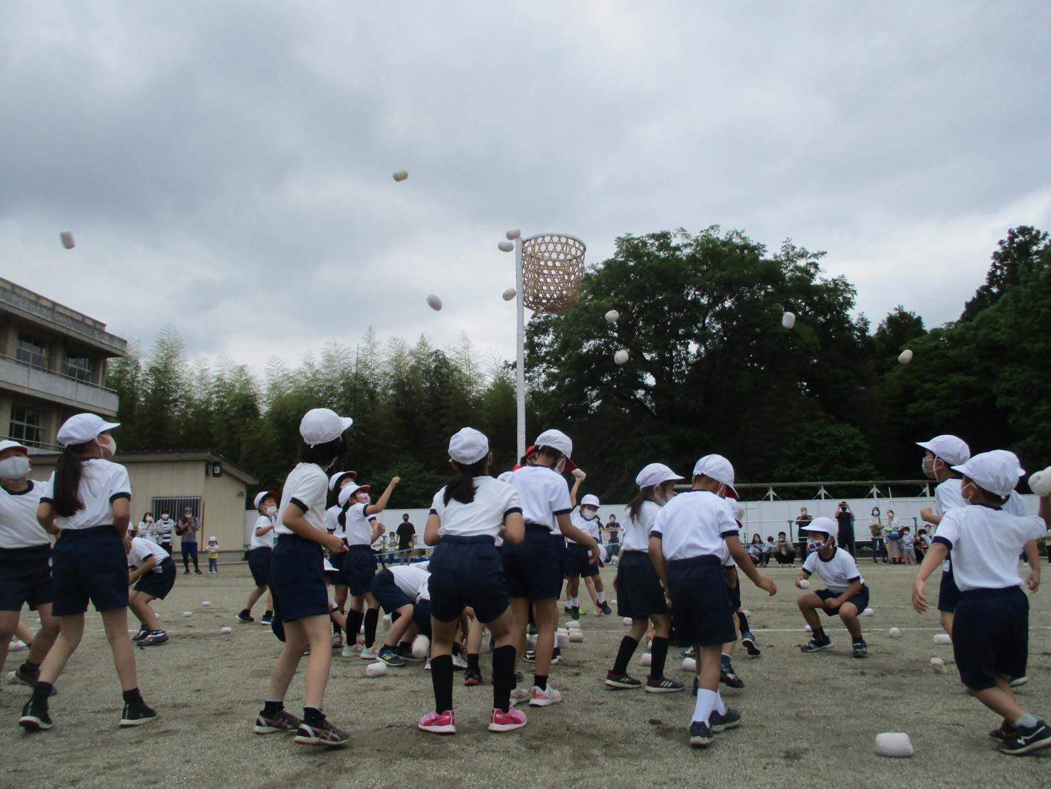 IMG_5739 IMG_5739