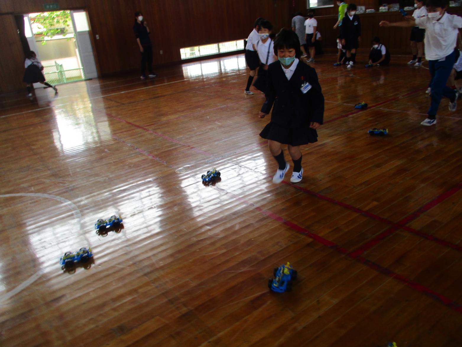 IMG_5931 IMG_5931