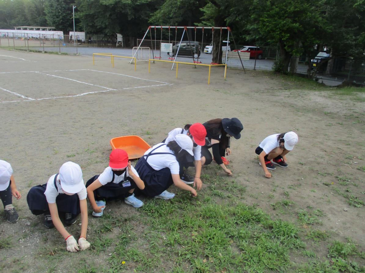 IMG_6337 IMG_6337