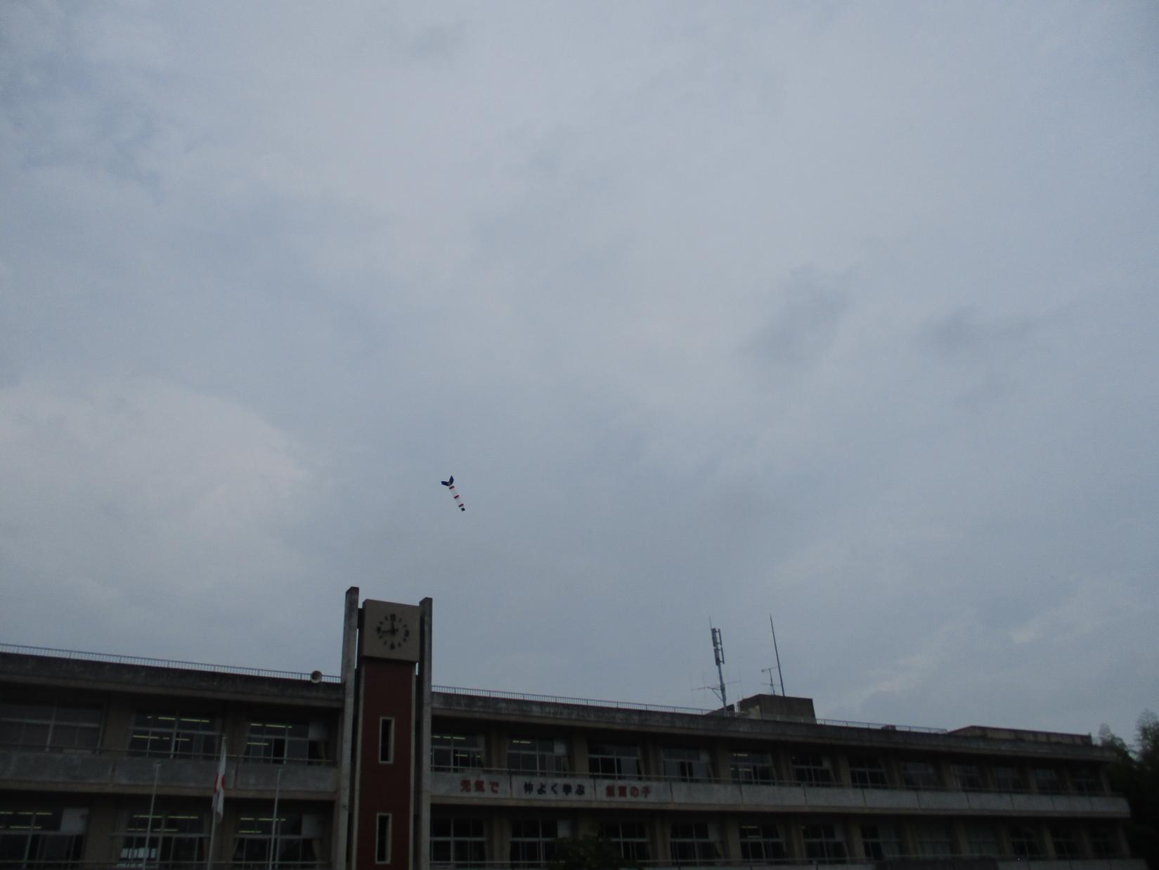IMG_6369 IMG_6369