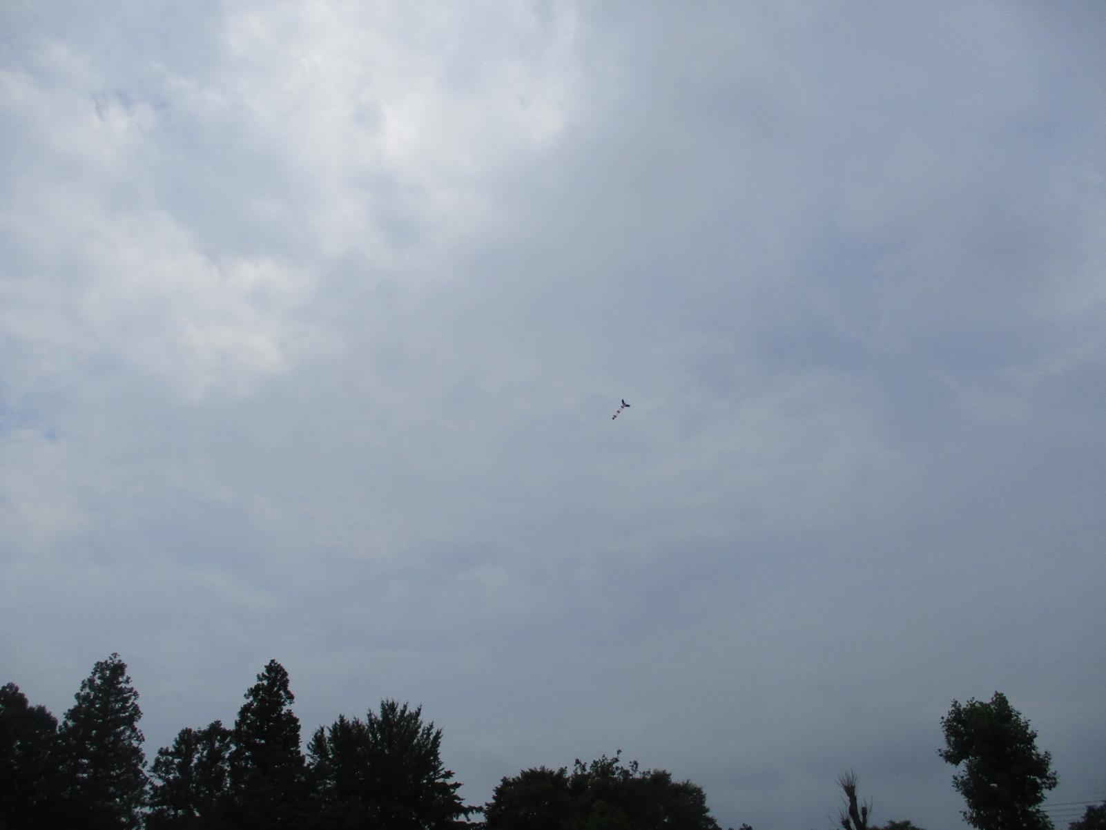 IMG_6372 IMG_6372