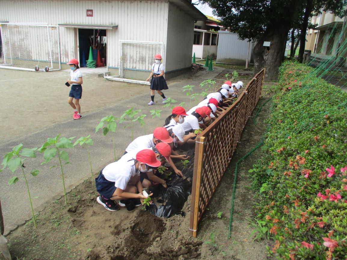 IMG_6397 IMG_6397