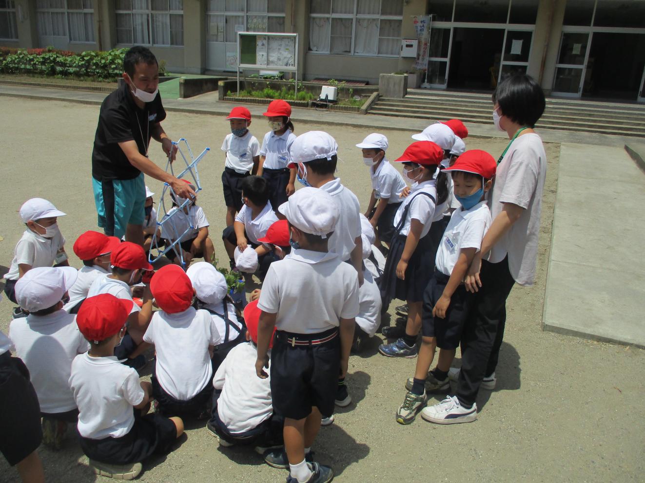 IMG_6487 IMG_6487