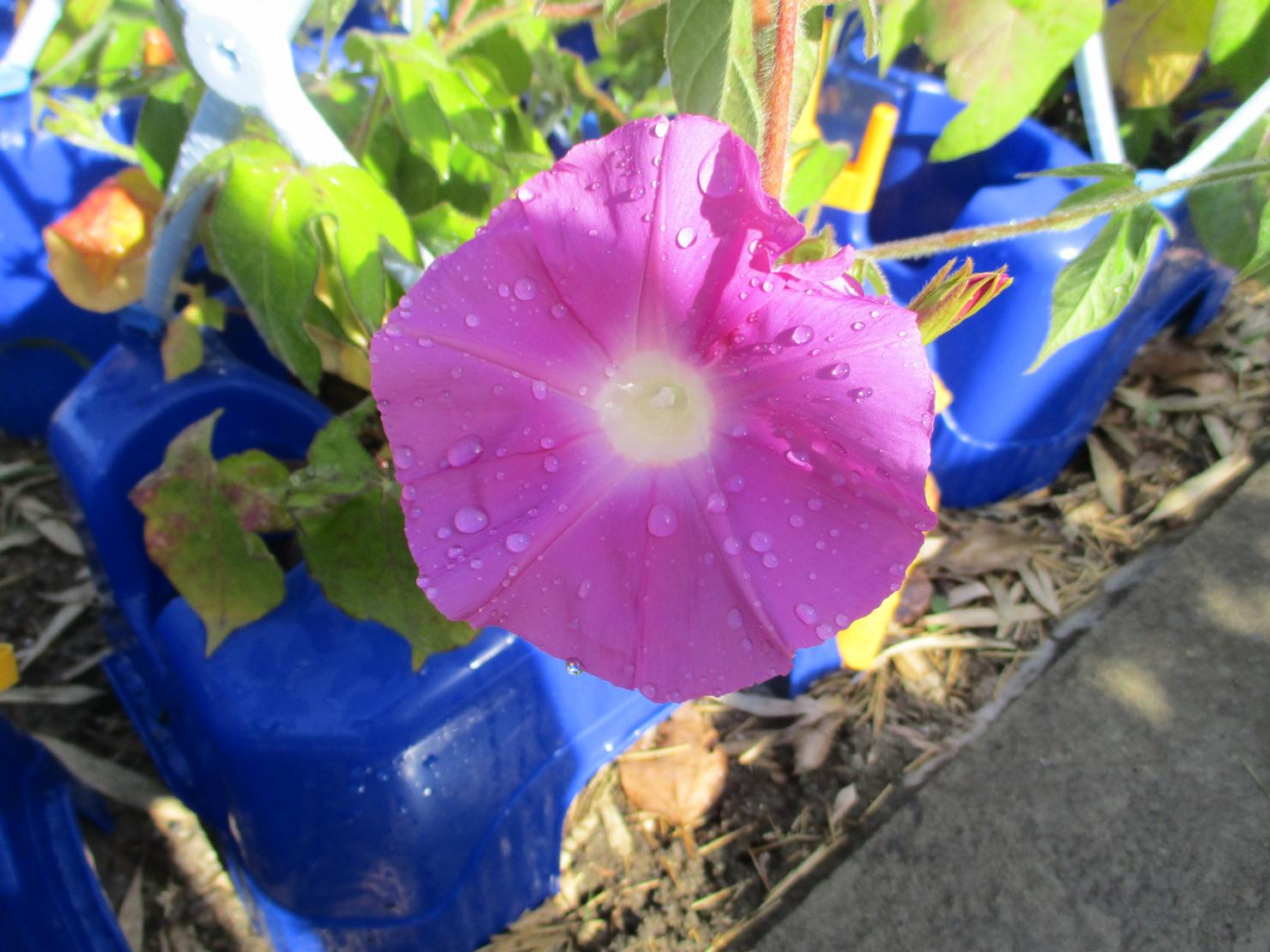 IMG_6614 IMG_6614