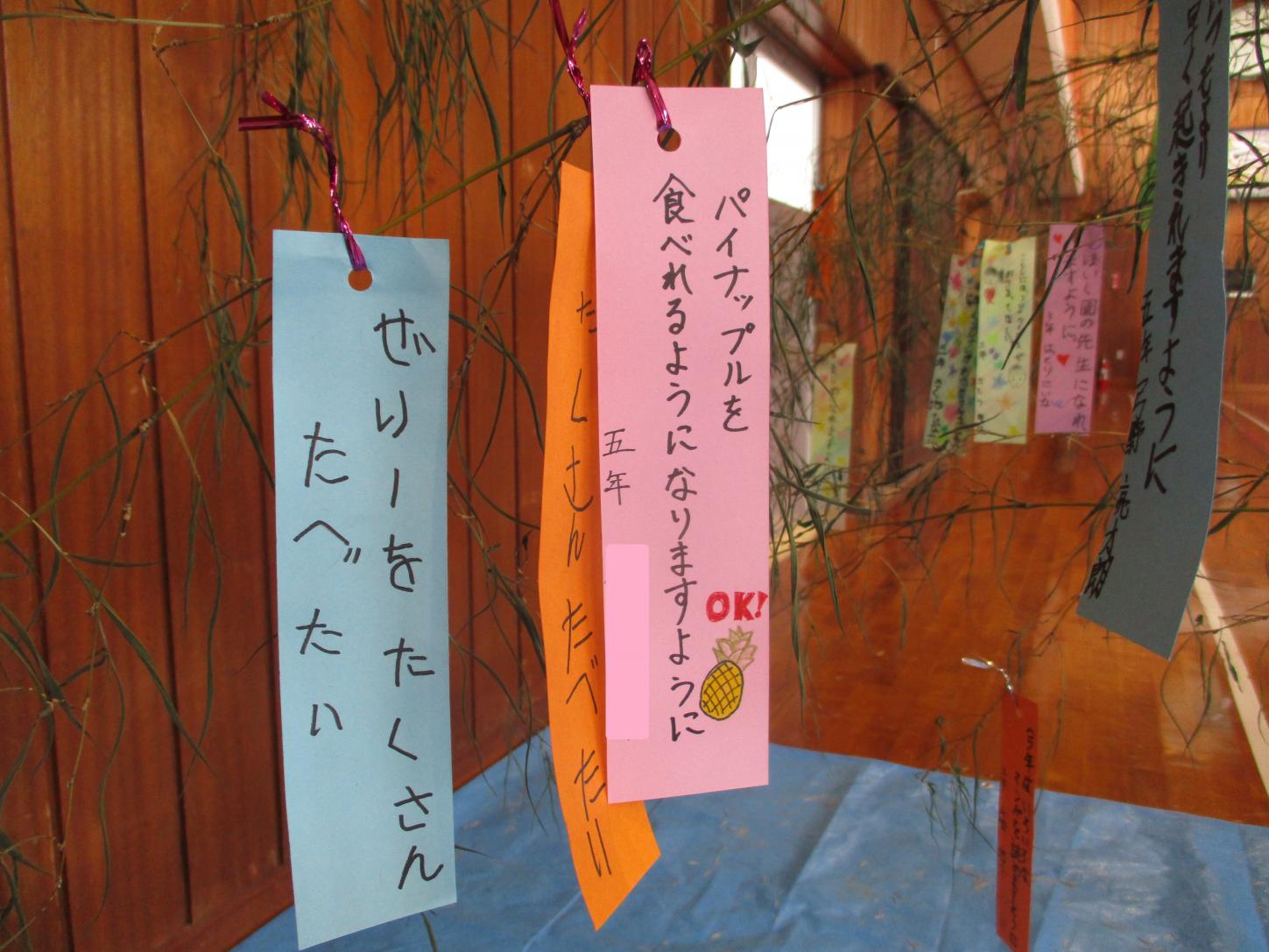 IMG_6877 IMG_6877