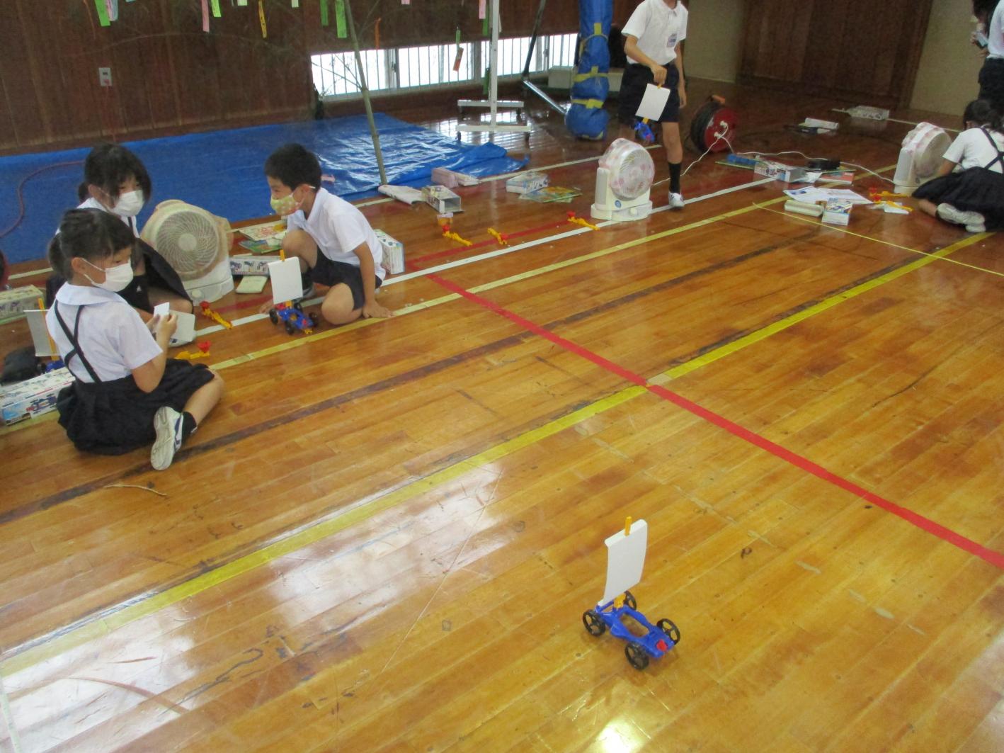 IMG_6909 IMG_6909
