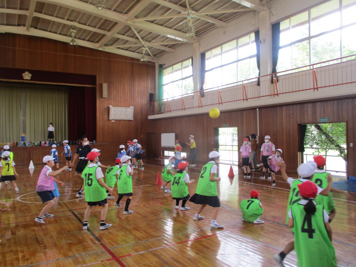 IMG_7068 IMG_7068
