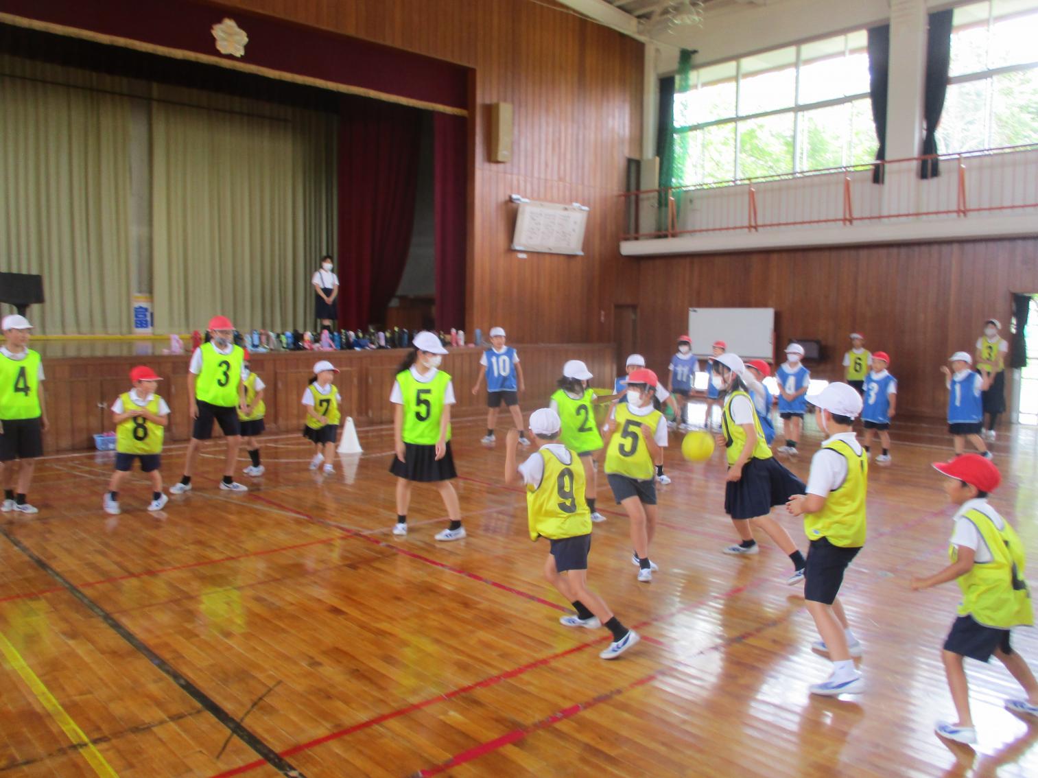 IMG_7070 IMG_7070