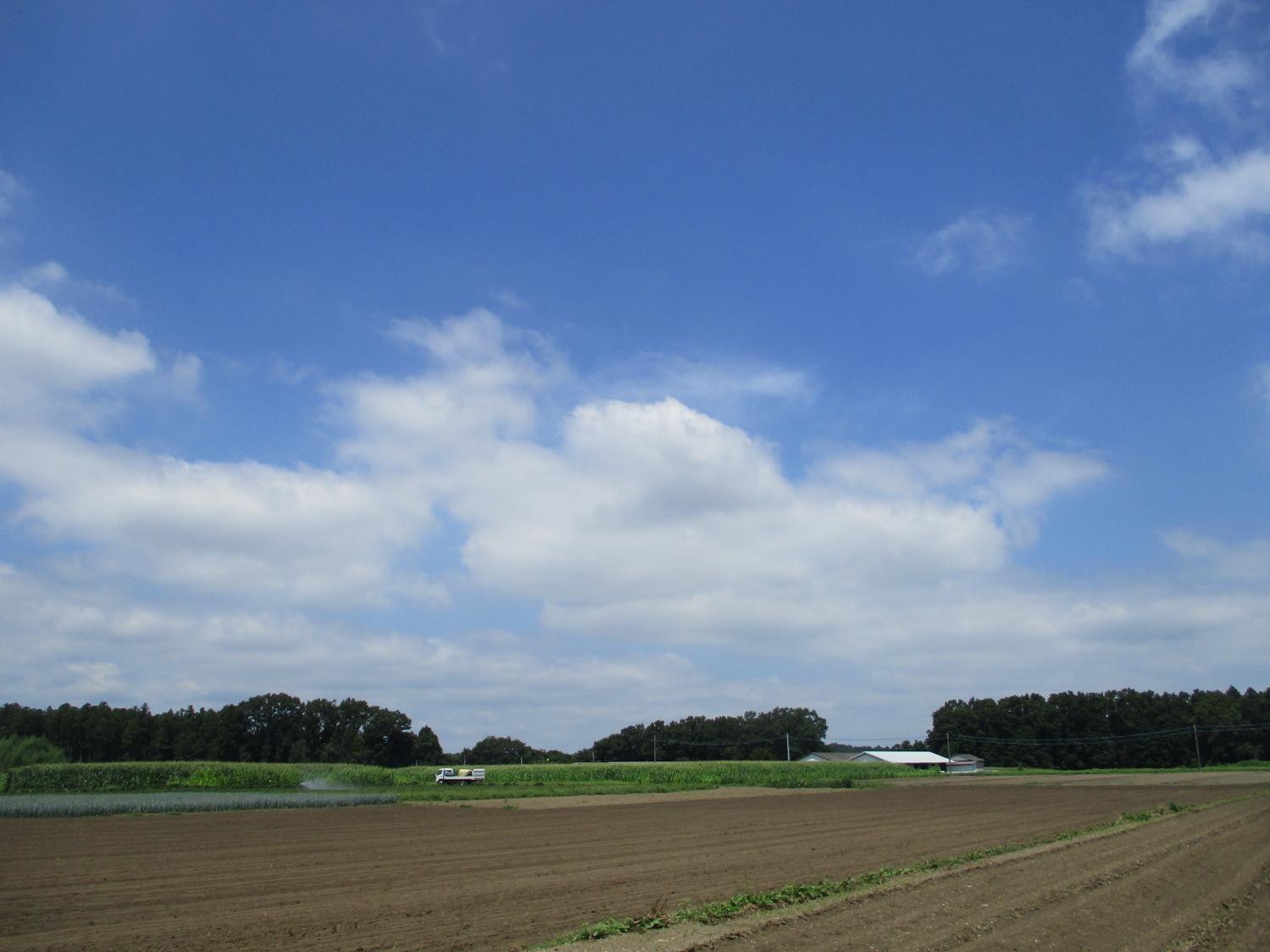 IMG_7159 IMG_7159