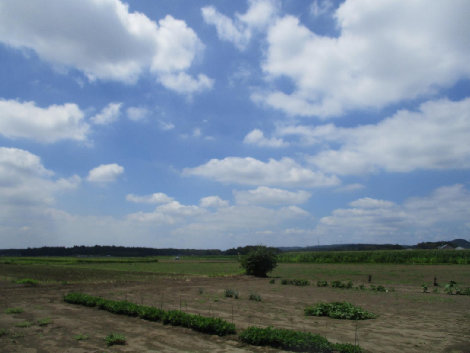 IMG_7160 IMG_7160