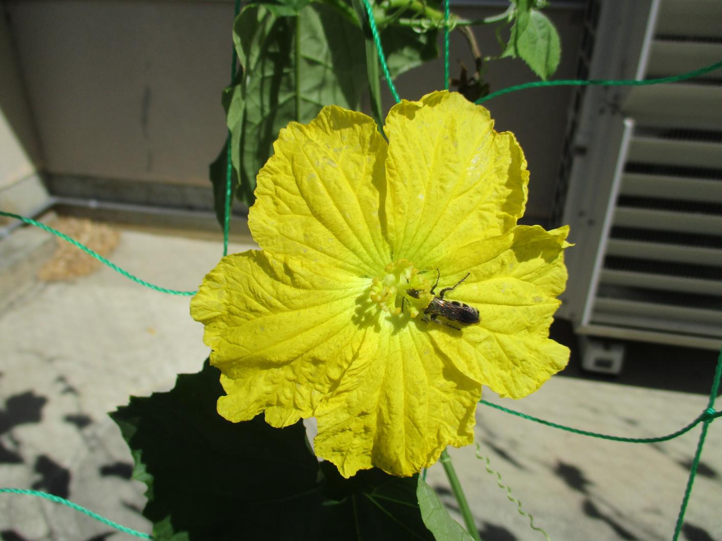 IMG_7176 IMG_7176