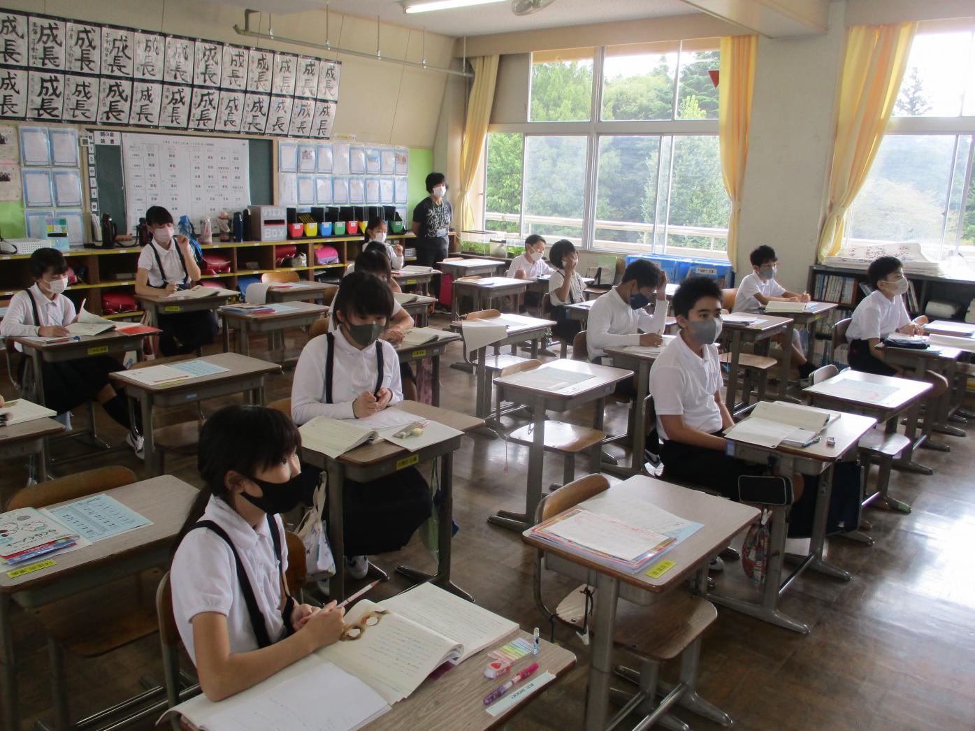 IMG_7556 IMG_7556