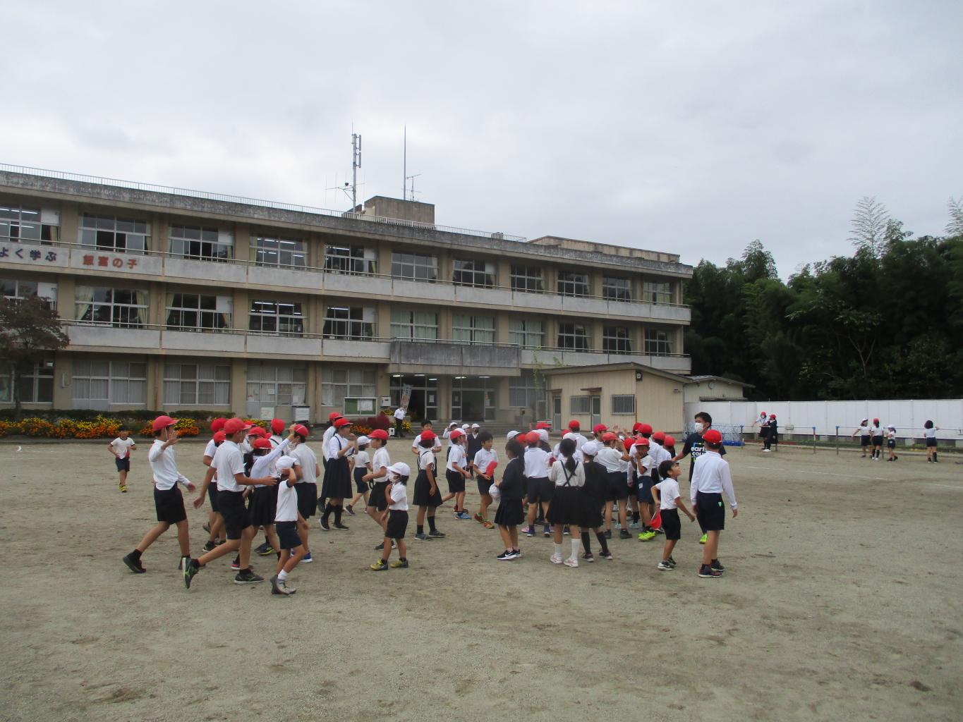 IMG_7815 IMG_7815