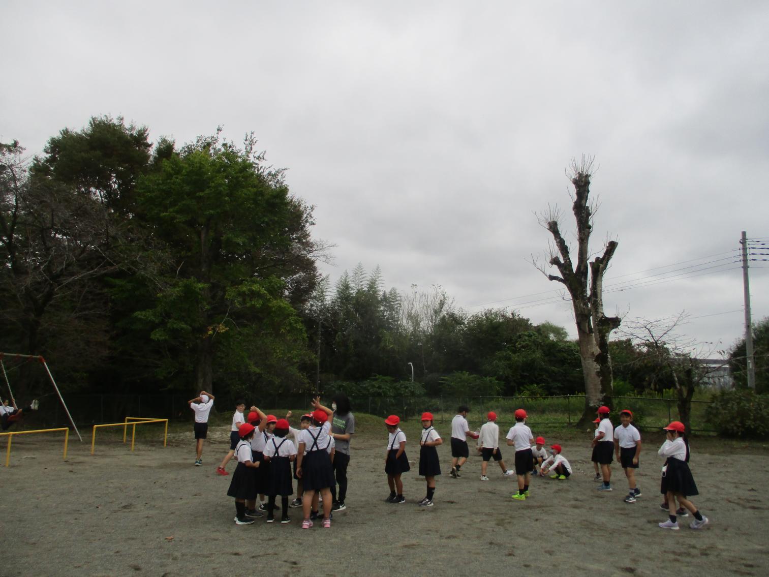 IMG_7816 IMG_7816