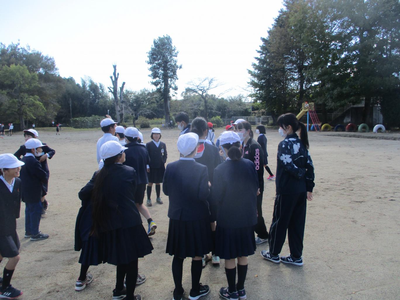 IMG_8037 IMG_8037