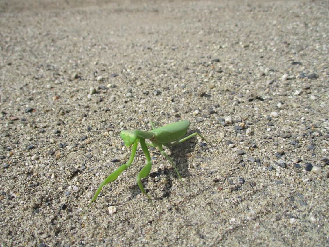 IMG_7749 IMG_7749