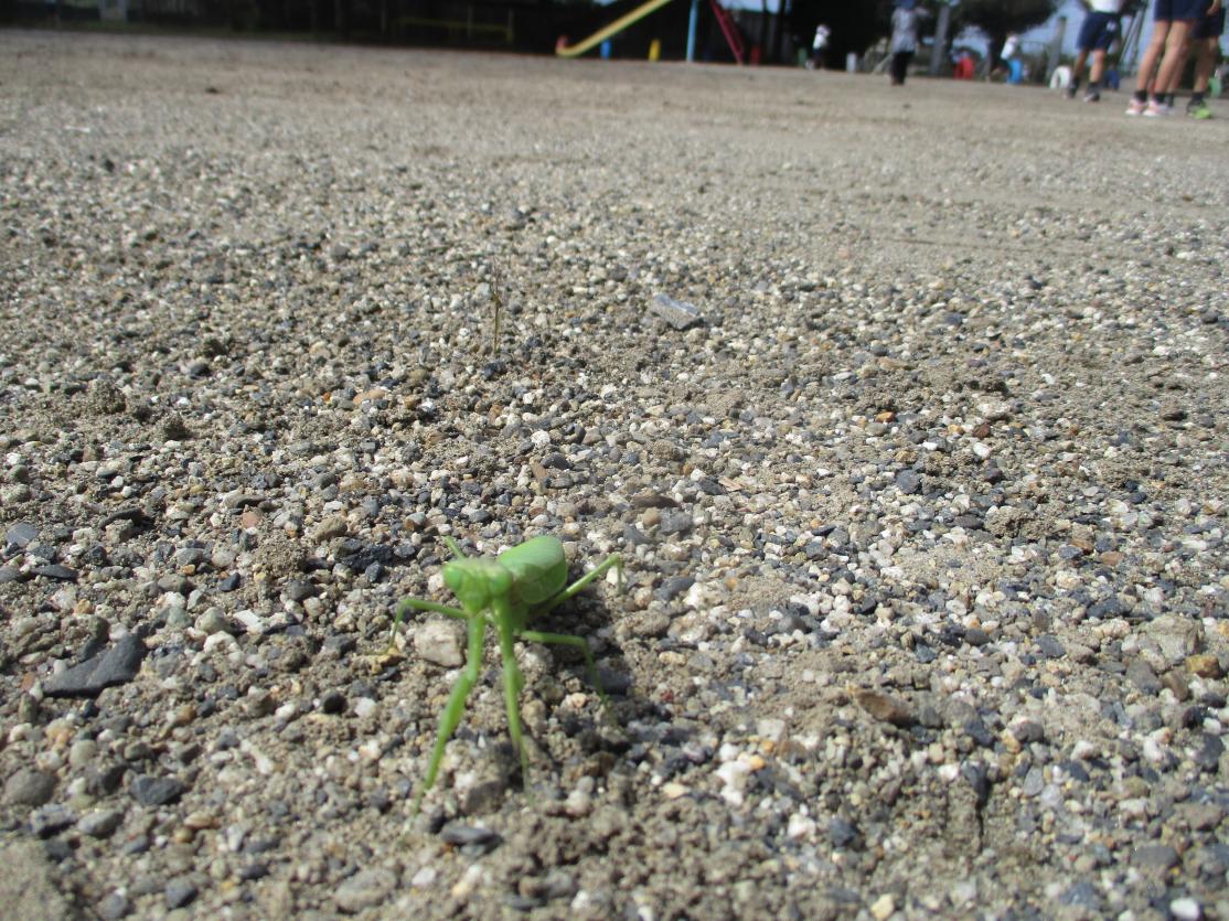 IMG_7756 IMG_7756