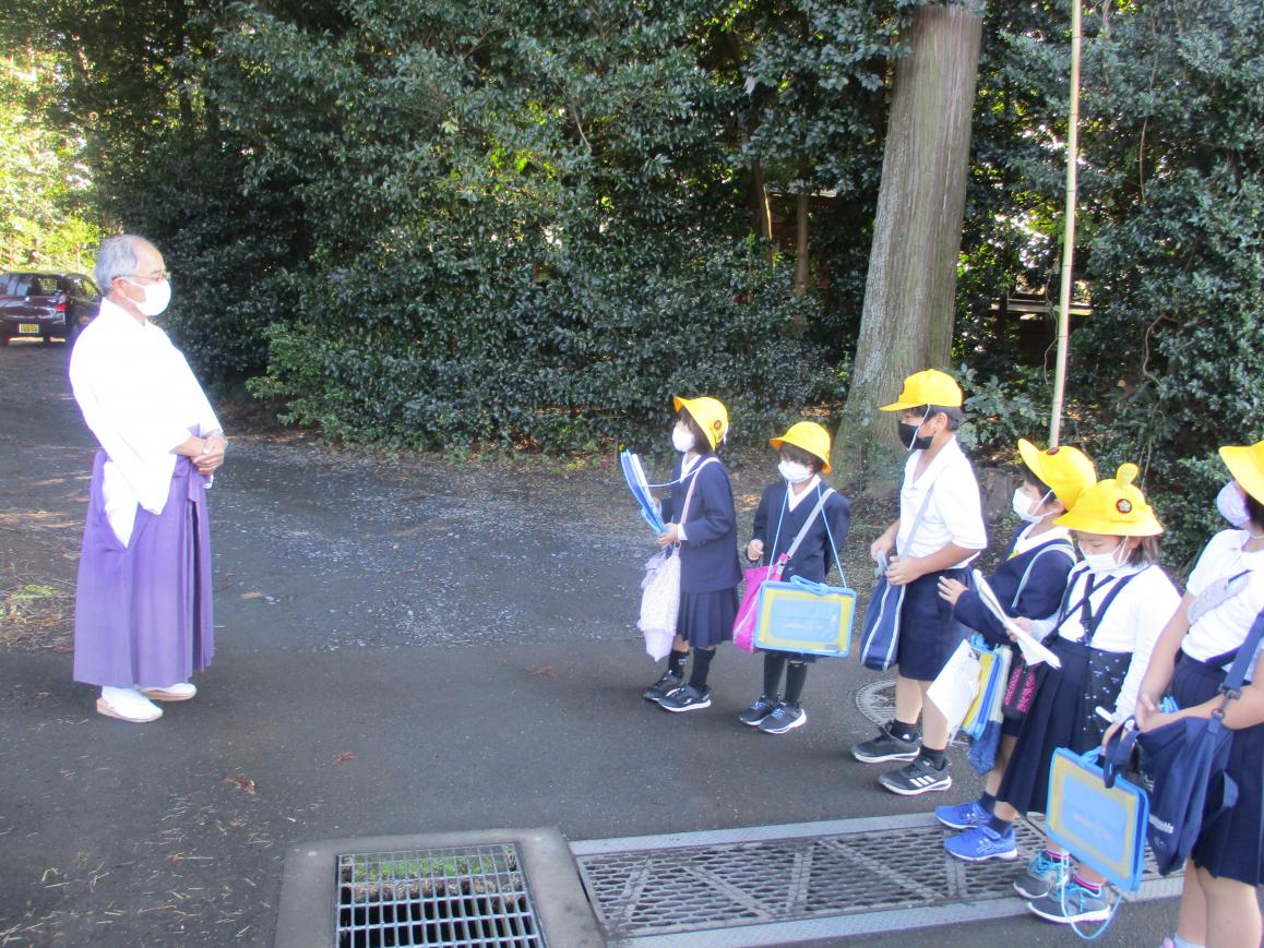 IMG_8248 IMG_8248