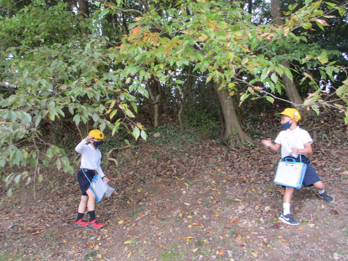 IMG_8436 IMG_8436
