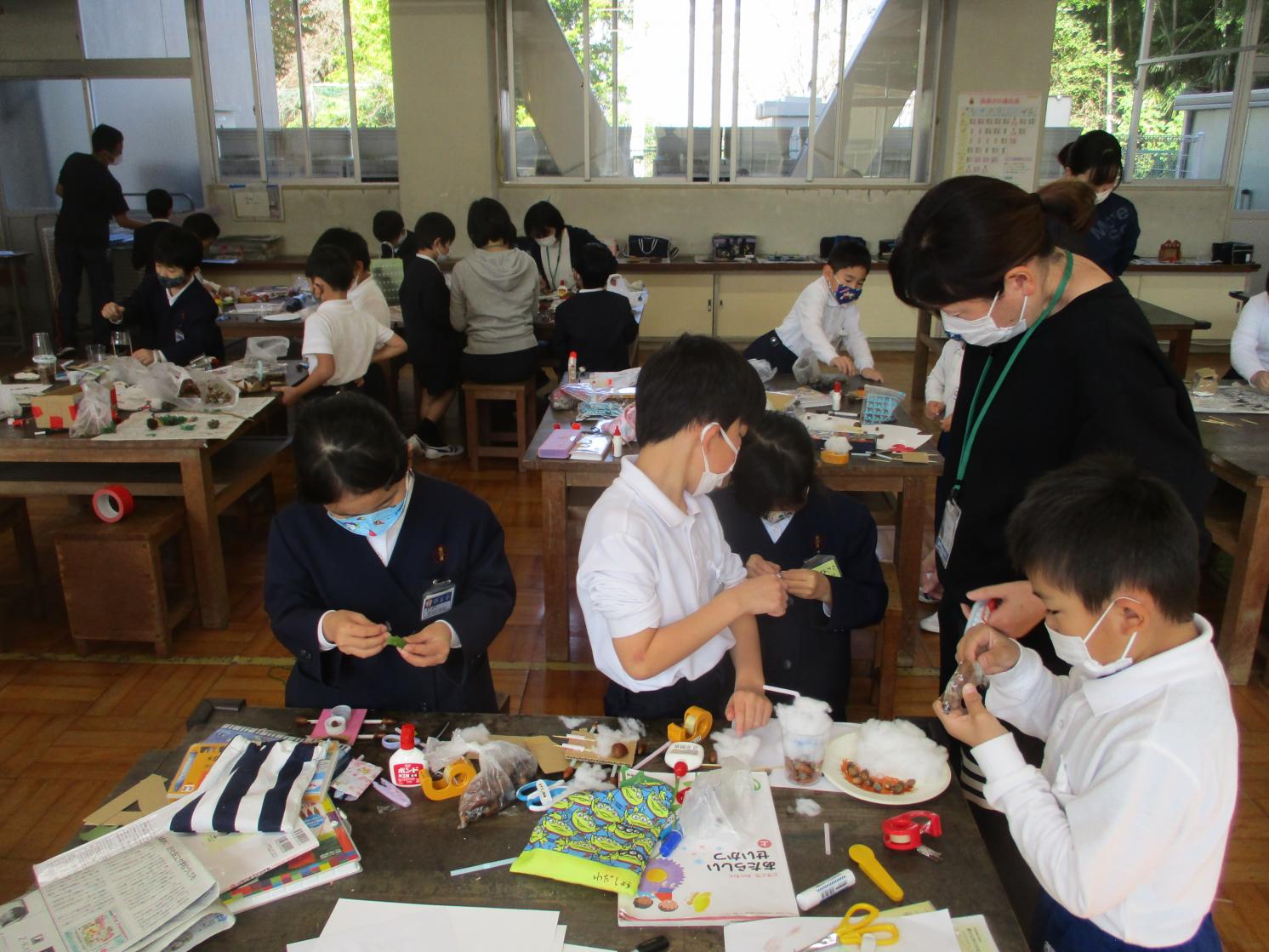 IMG_8530 IMG_8530