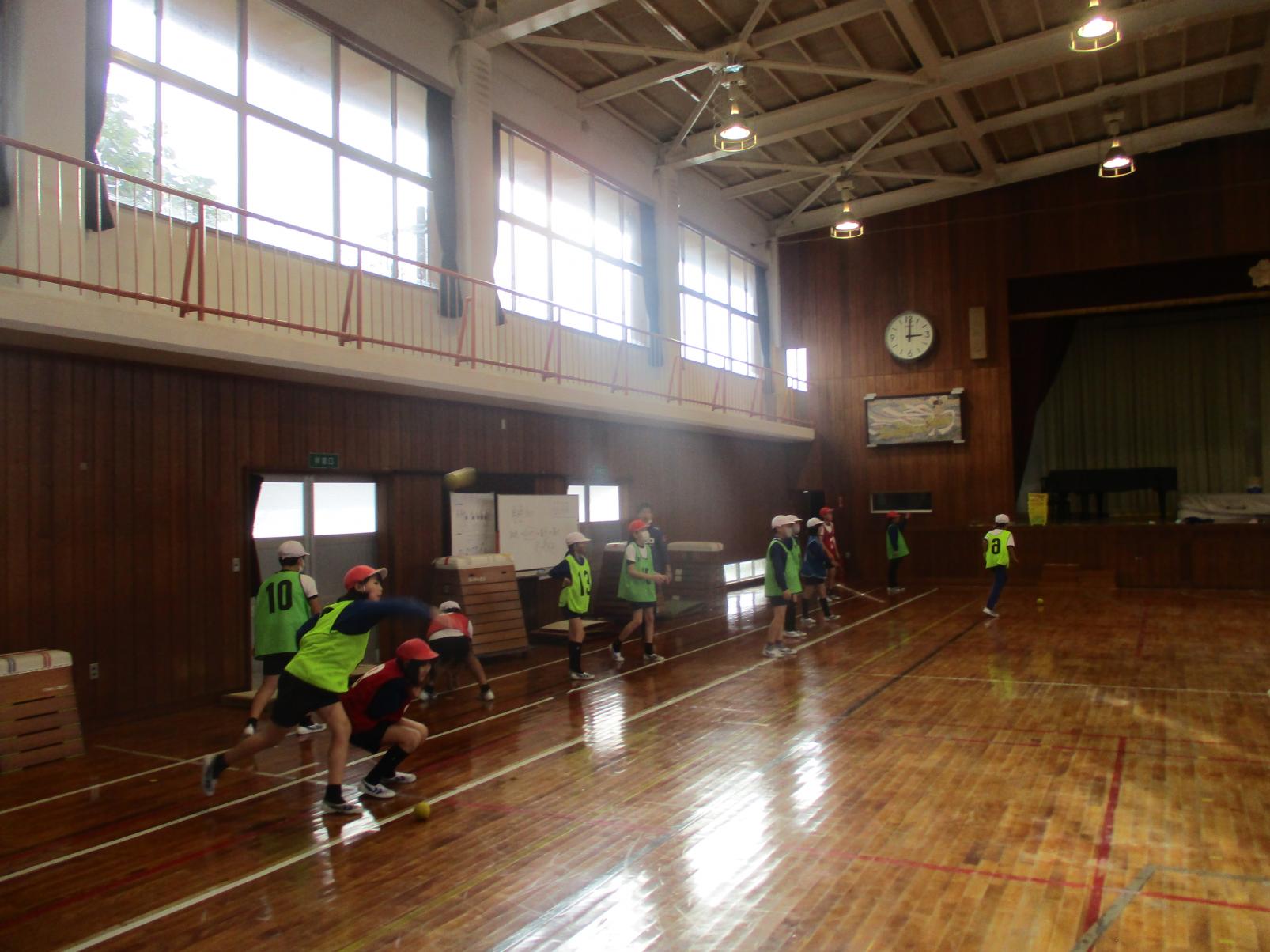 IMG_8534 IMG_8534