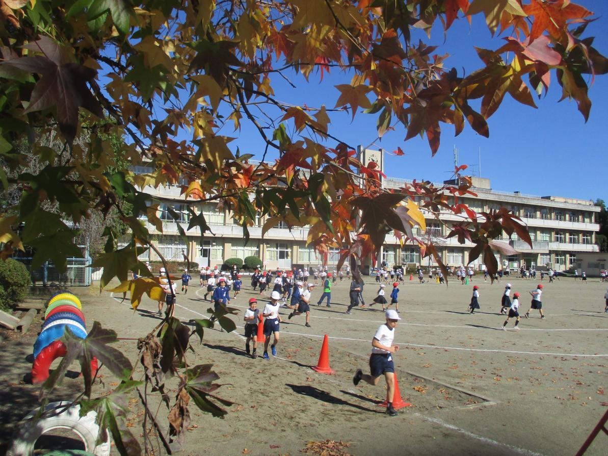 IMG_8640 IMG_8640