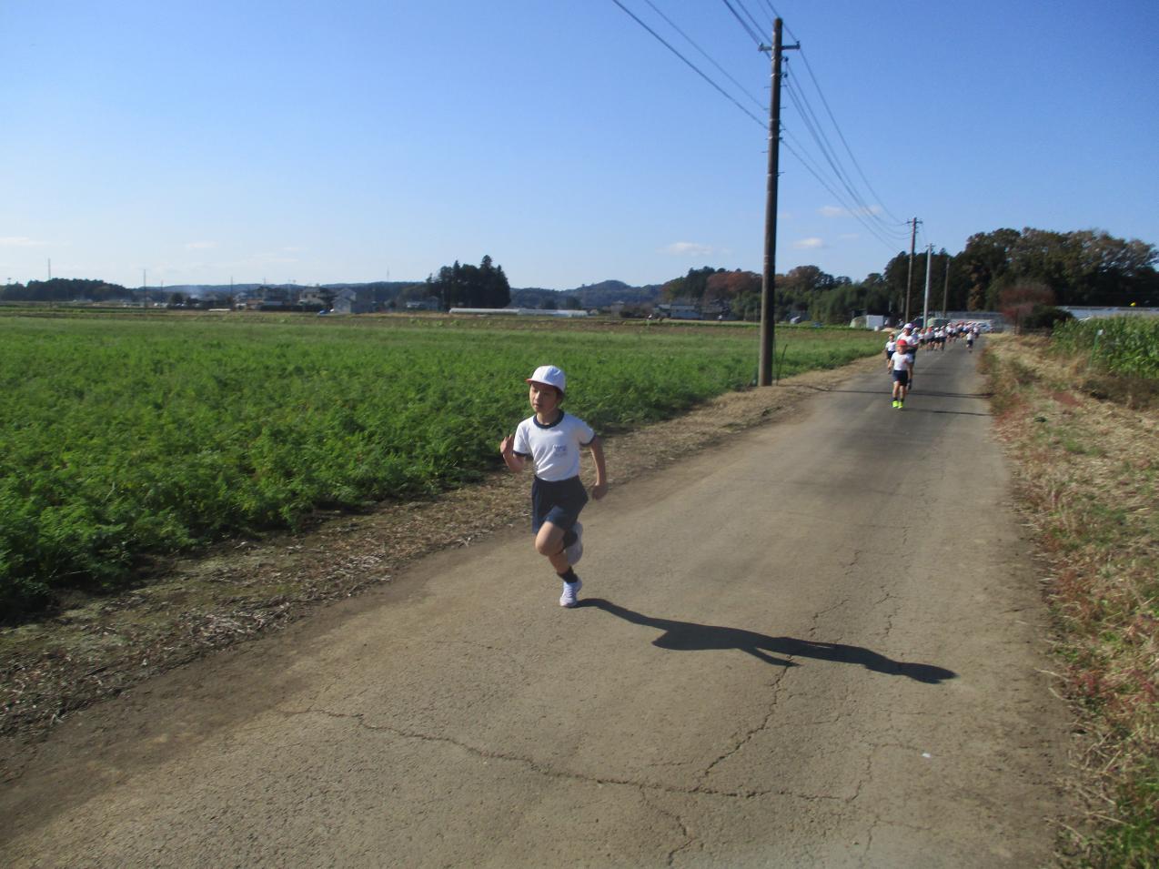 IMG_8716 IMG_8716