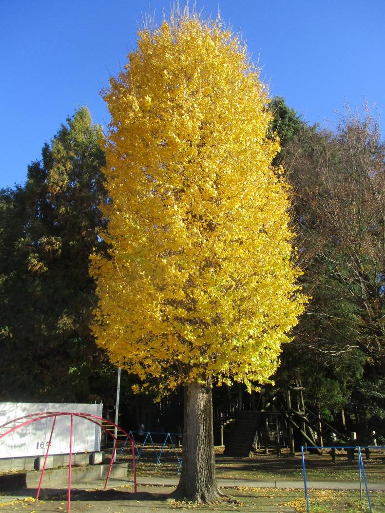 IMG_8834 IMG_8834