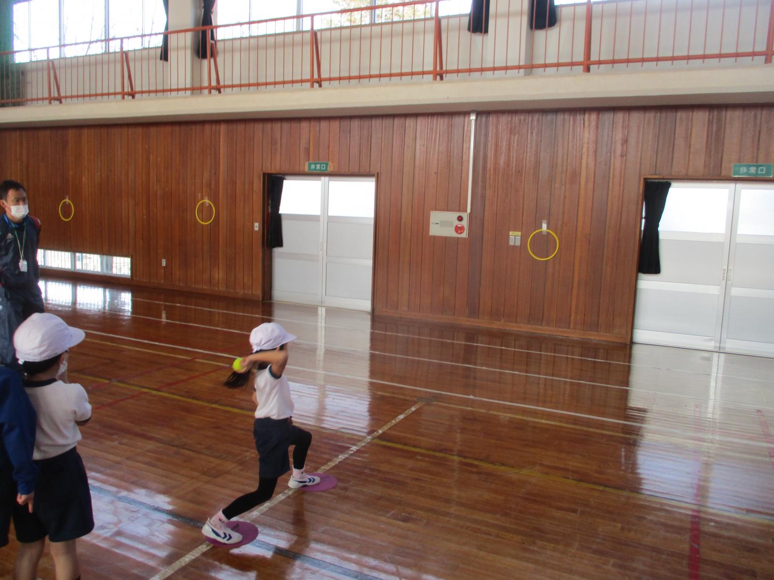 IMG_8950 IMG_8950