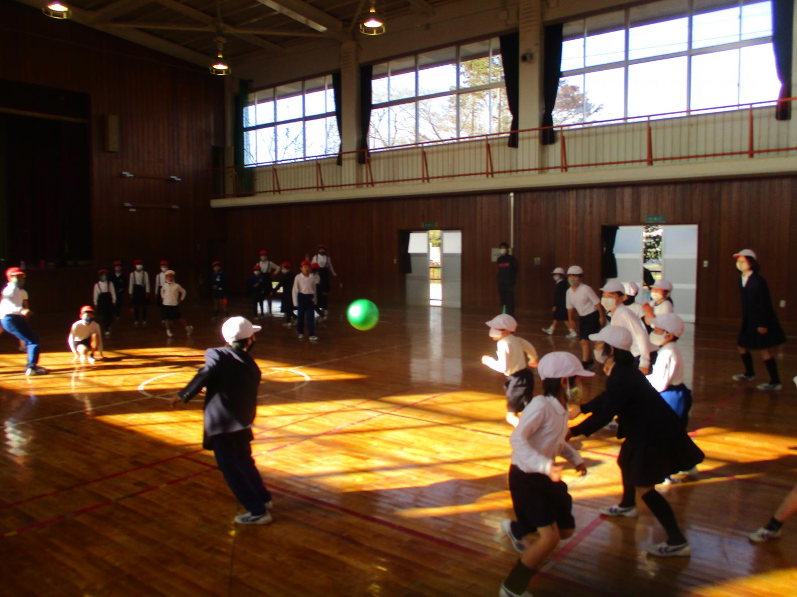 IMG_9247 IMG_9247