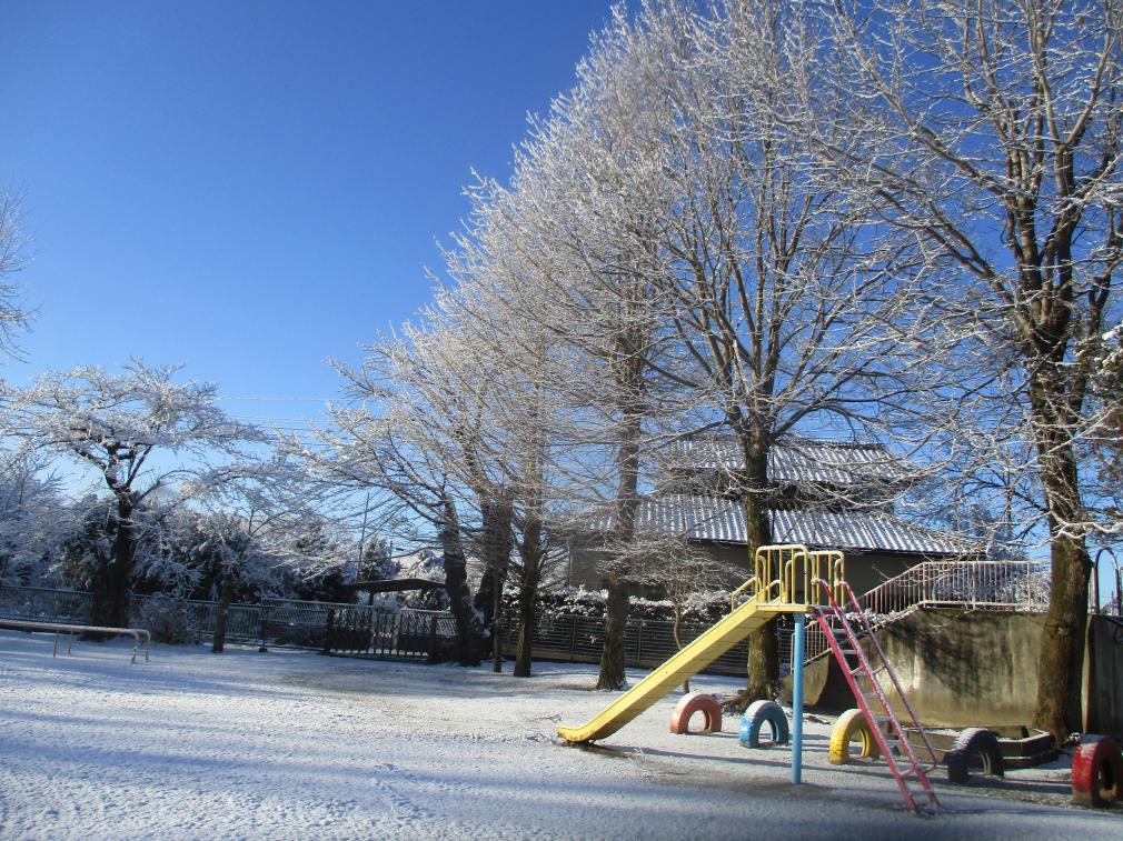 IMG_9383 IMG_9383
