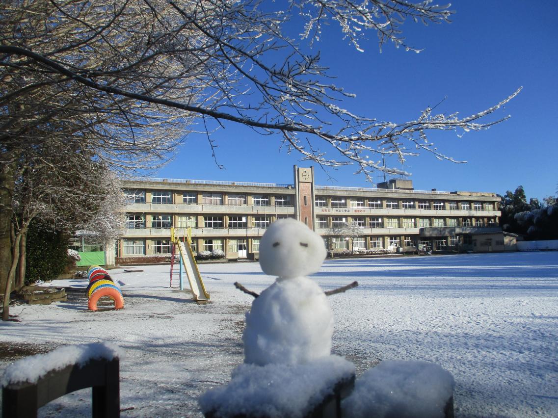 IMG_9399 IMG_9399