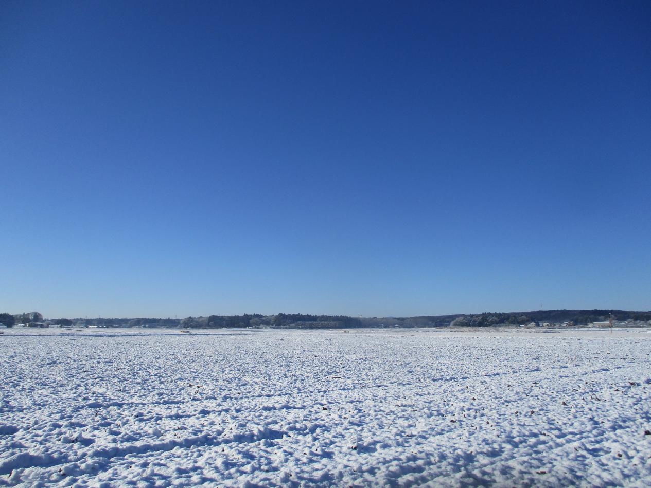 IMG_9400 IMG_9400
