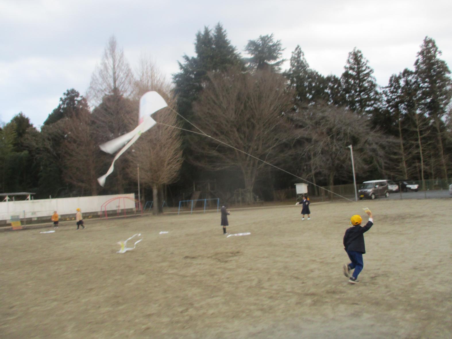 IMG_9557 IMG_9557