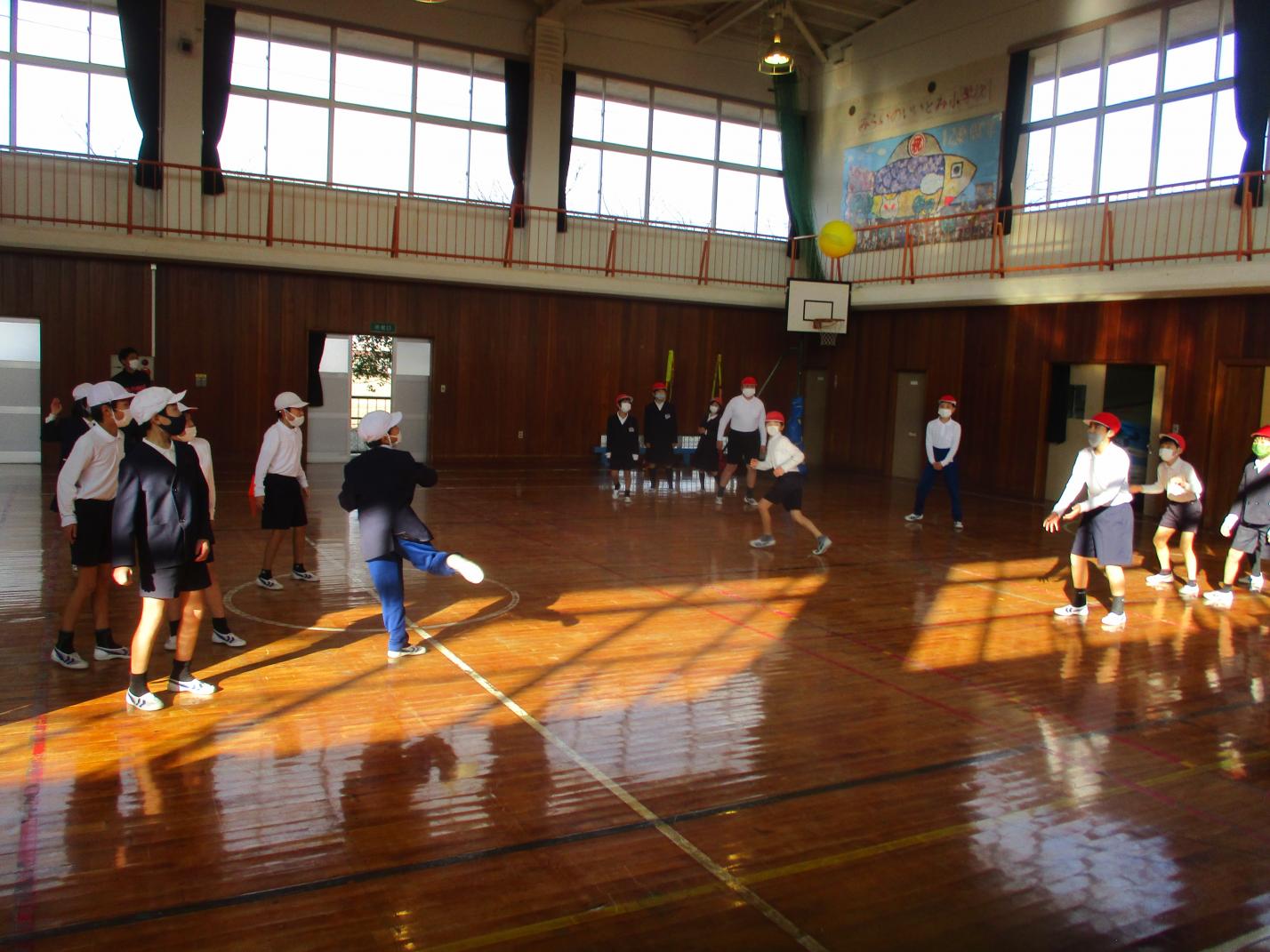 IMG_9774 IMG_9774