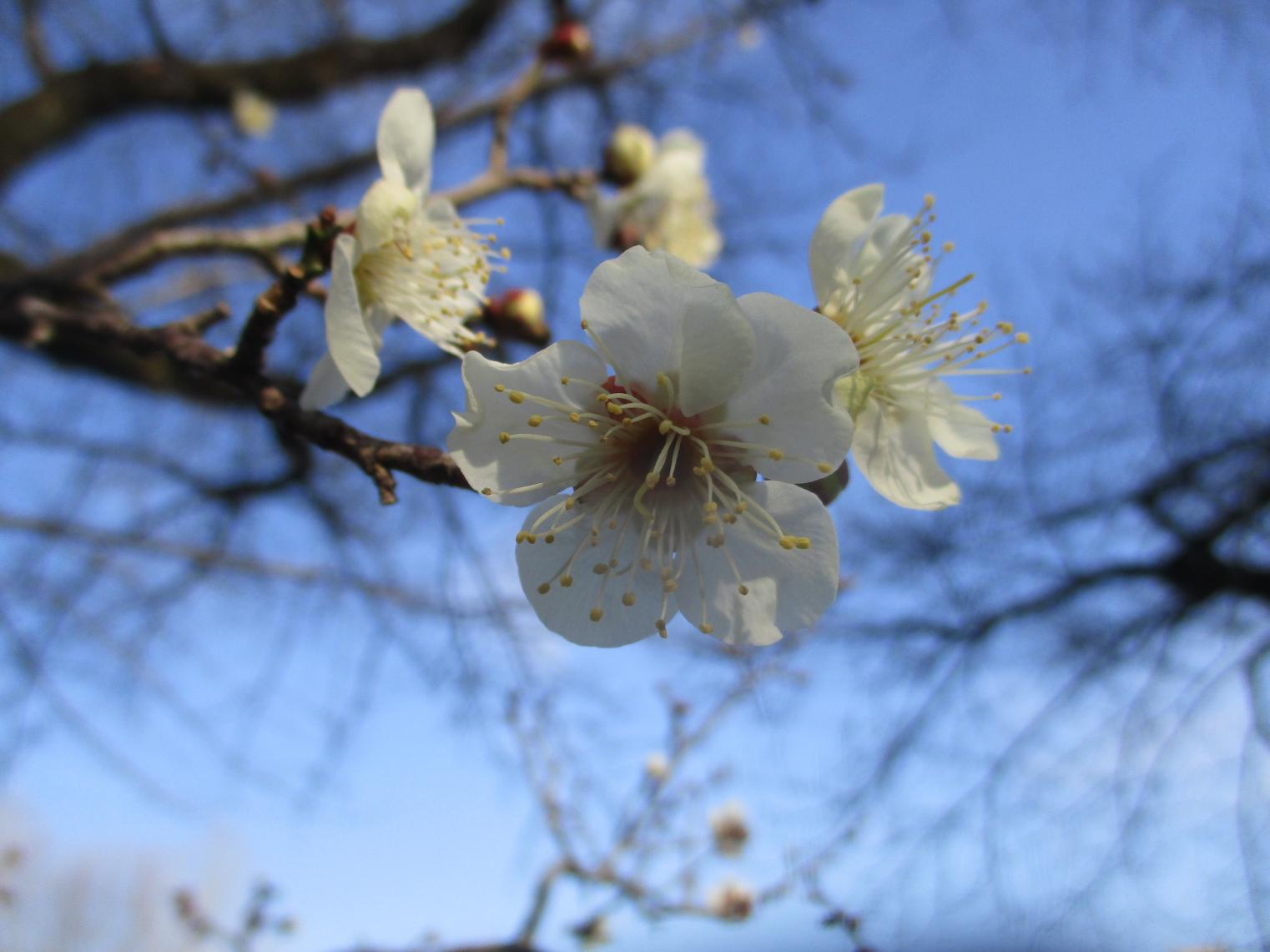 IMG_0259 IMG_0259