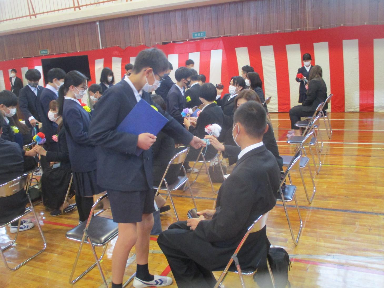 IMG_0615 IMG_0615