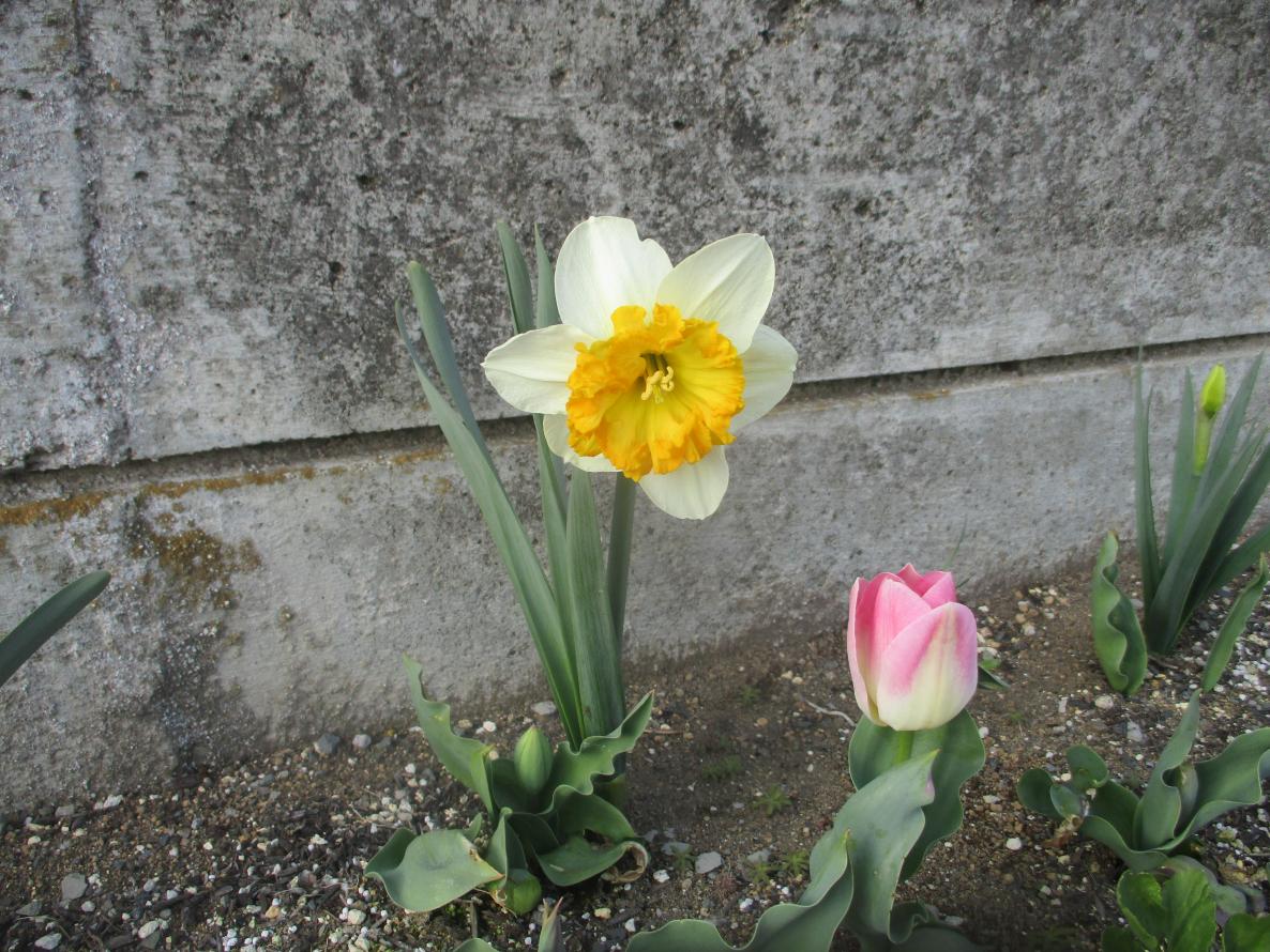 IMG_0752 IMG_0752