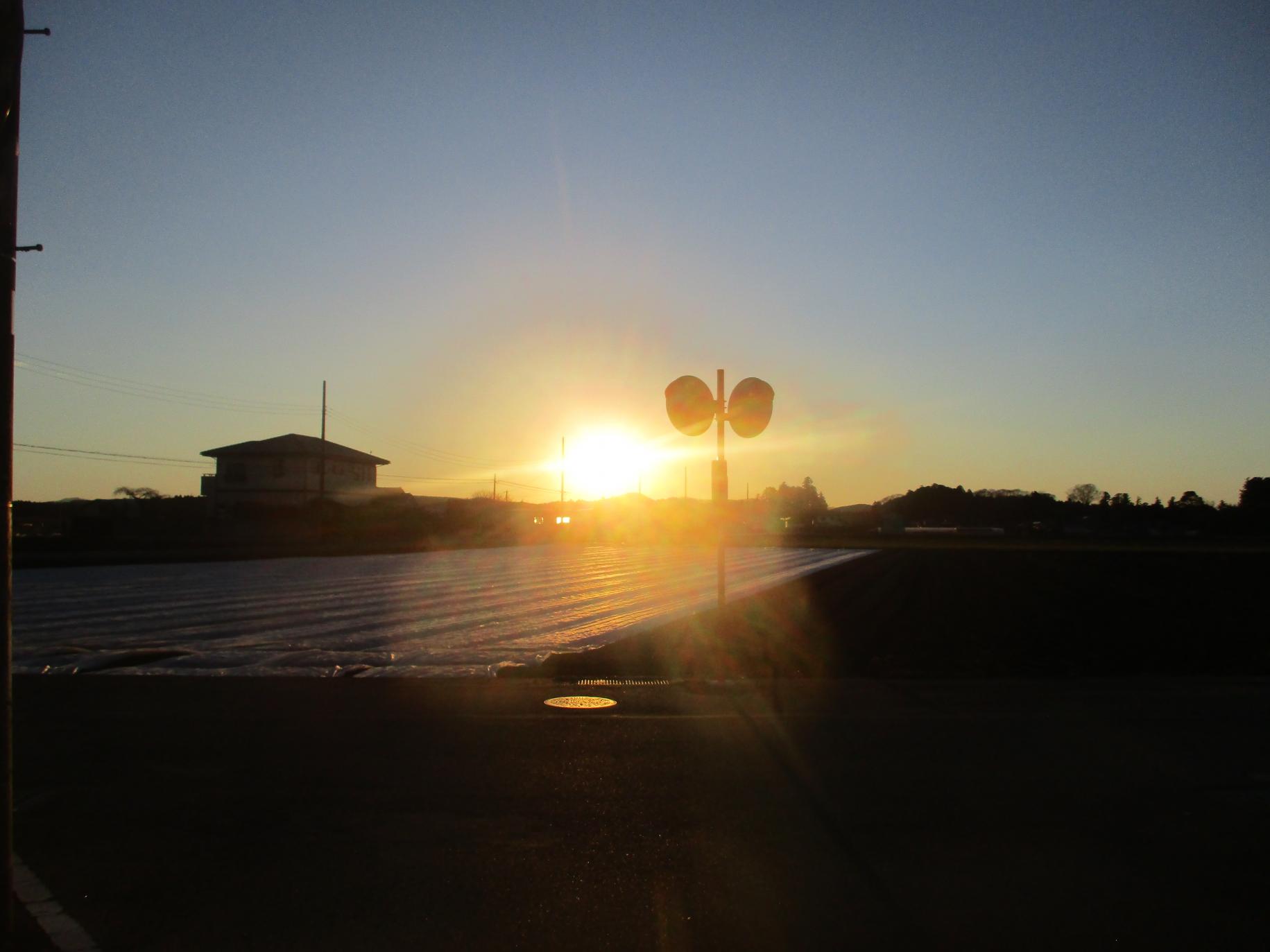 IMG_0191 IMG_0191