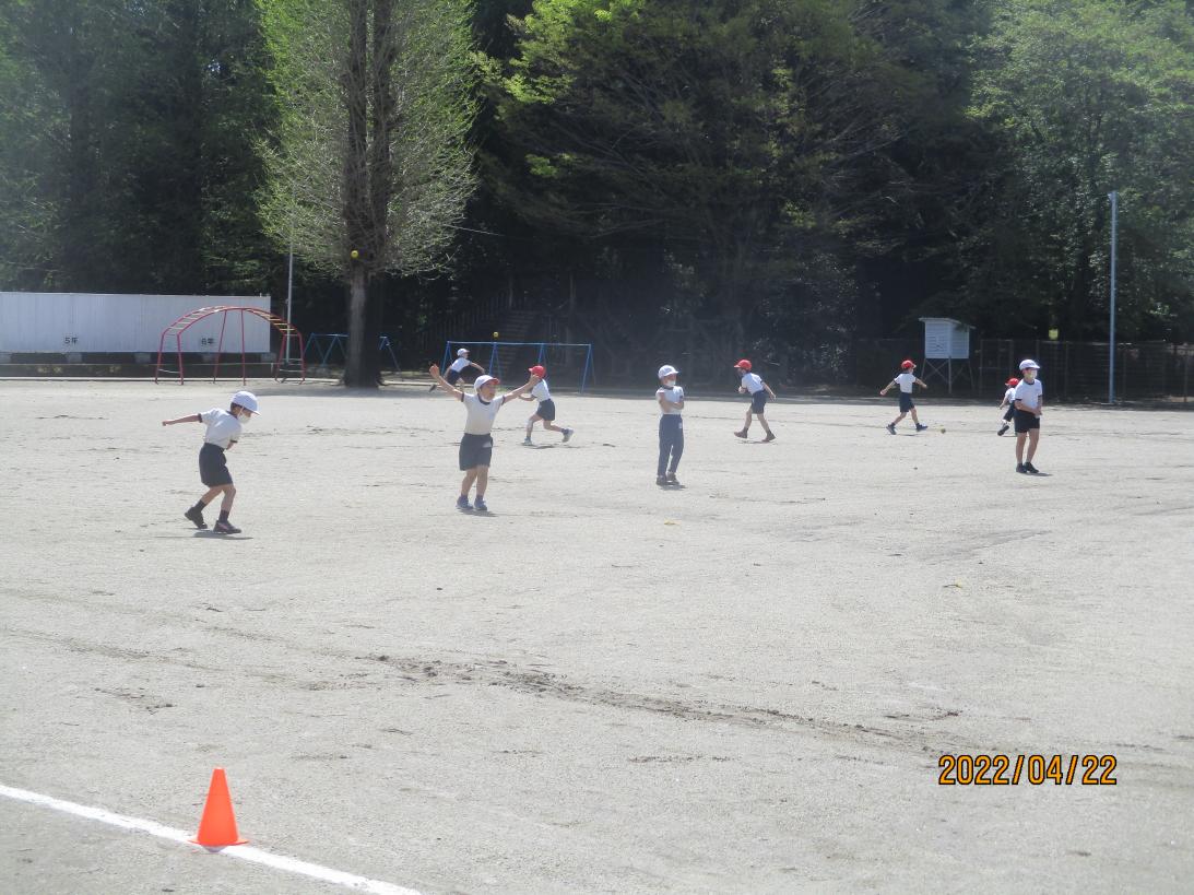 IMG_1016 IMG_1016