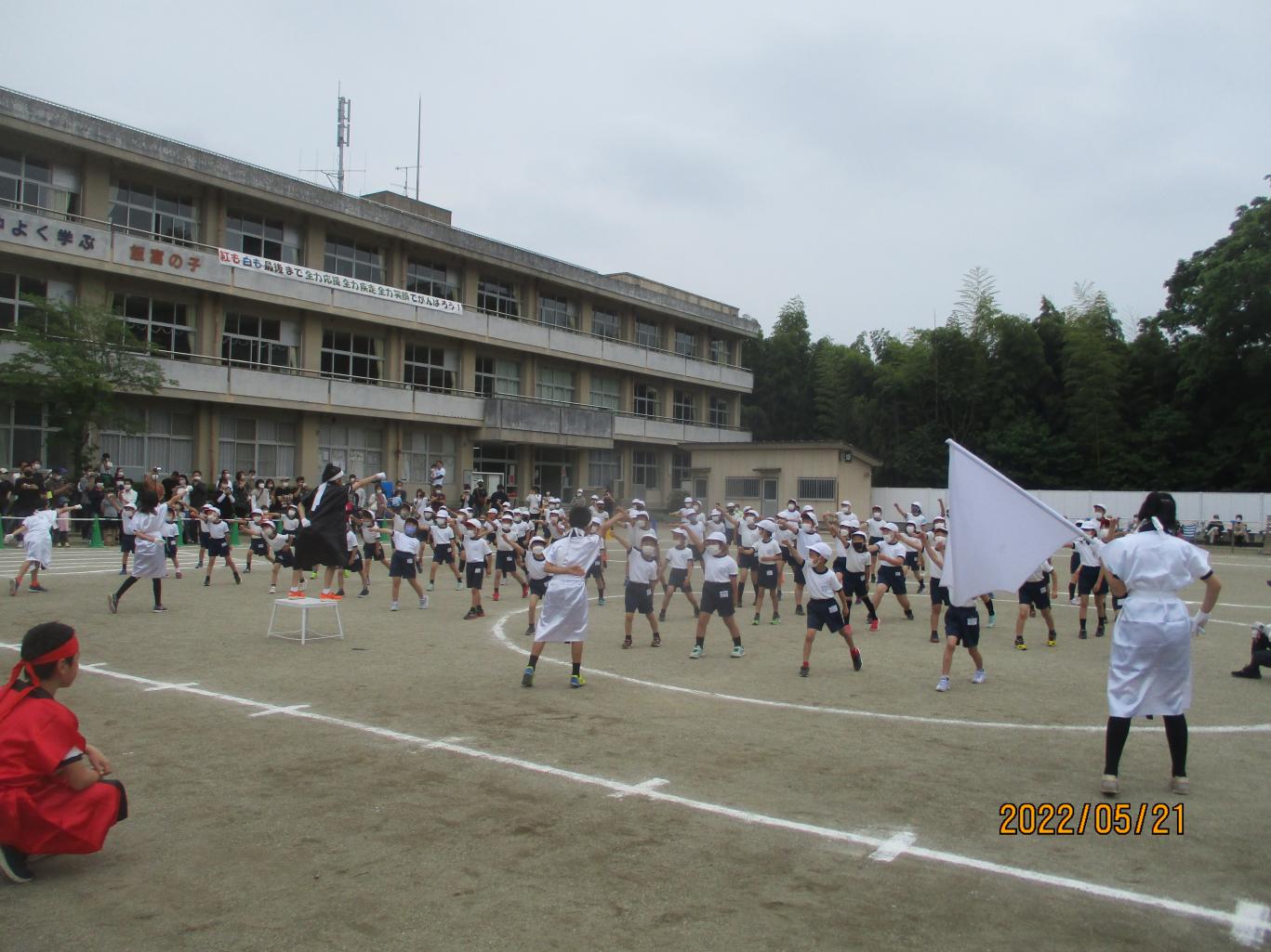 IMG_1054 IMG_1054