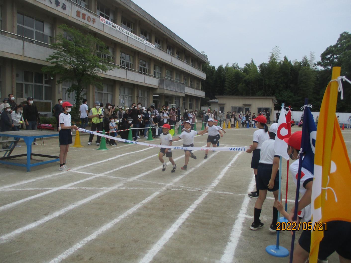 IMG_1071 IMG_1071