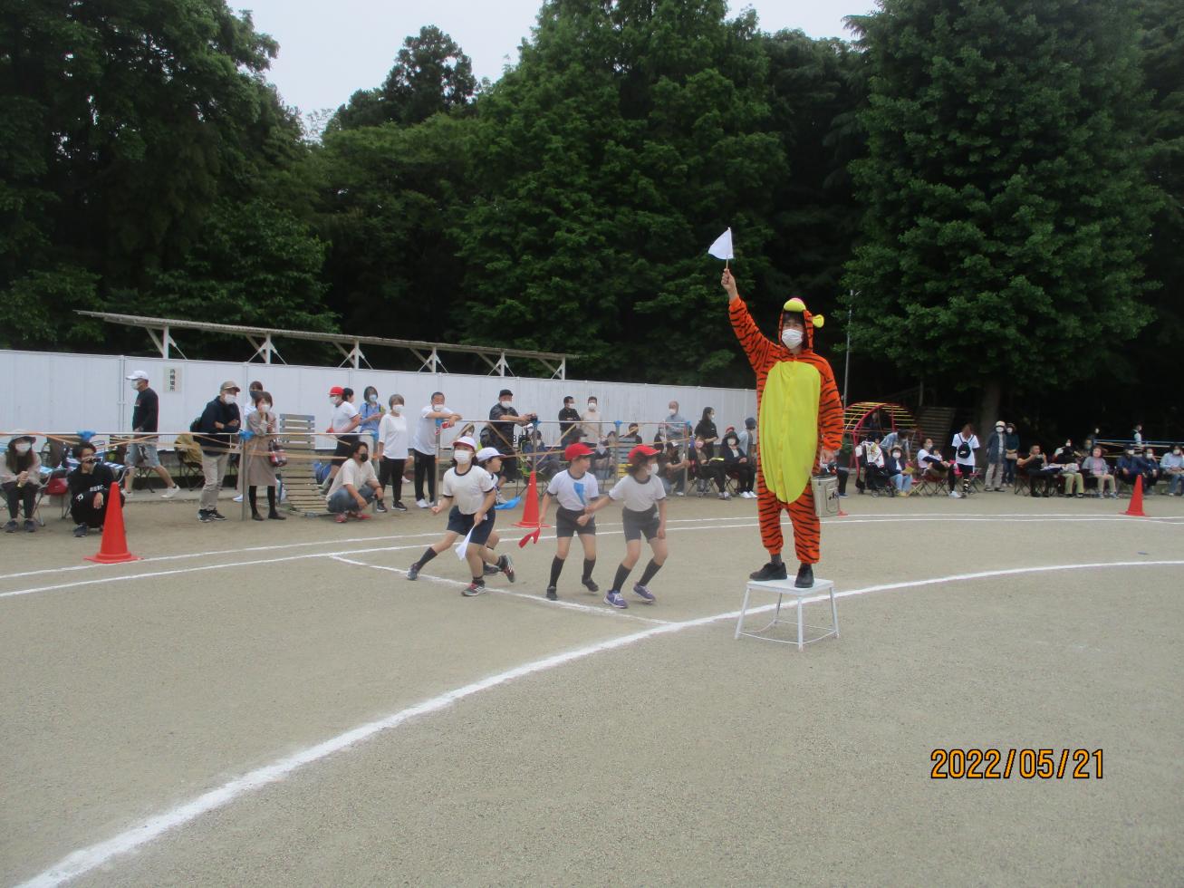 IMG_1077 IMG_1077