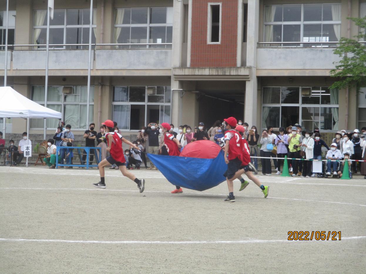 IMG_1134 IMG_1134