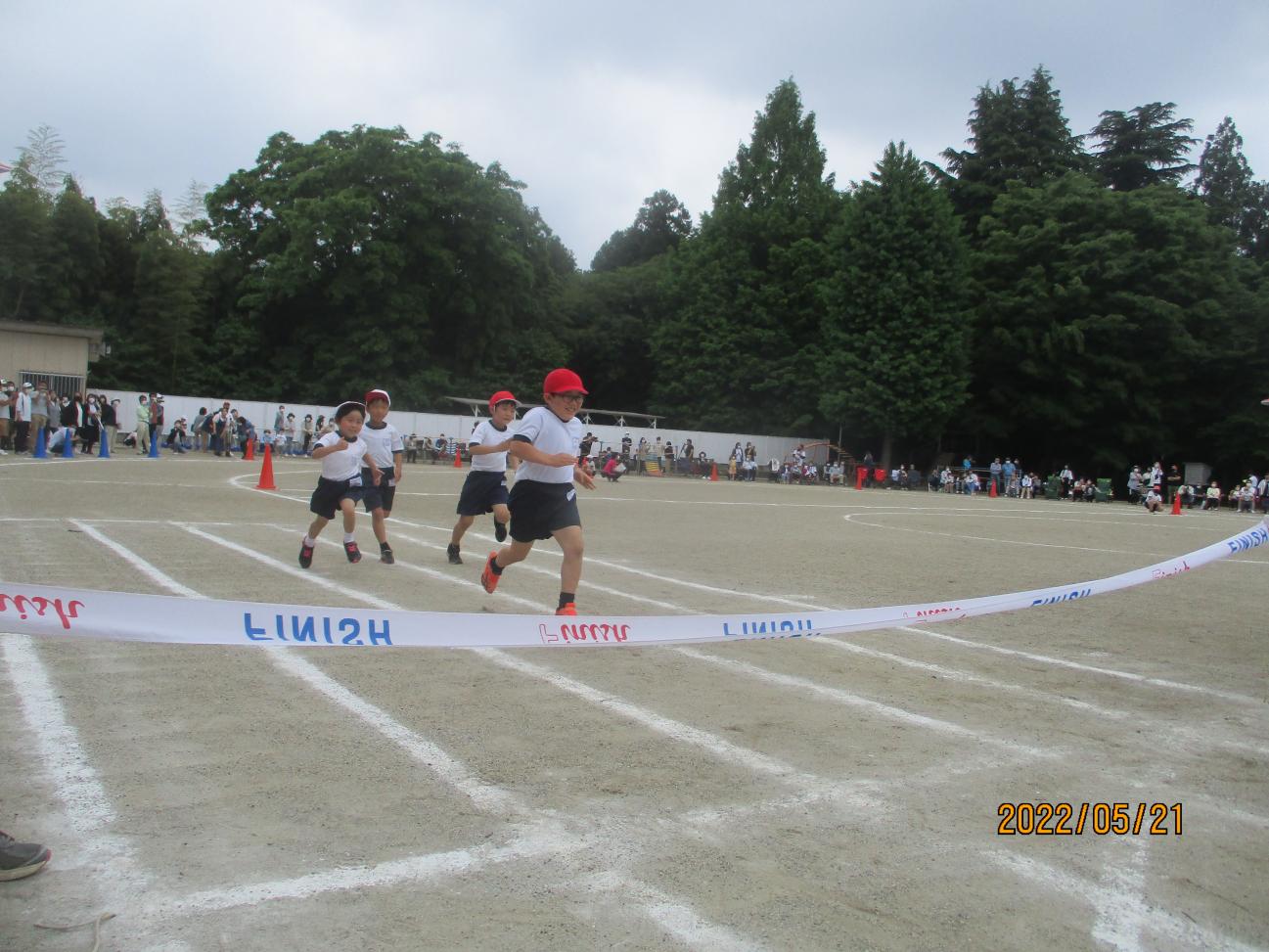 IMG_1140 IMG_1140