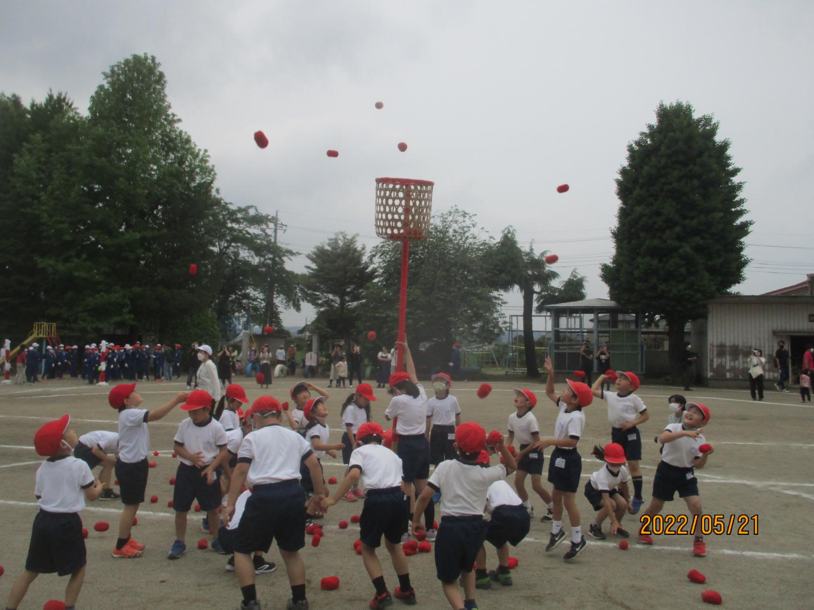 IMG_1164 IMG_1164