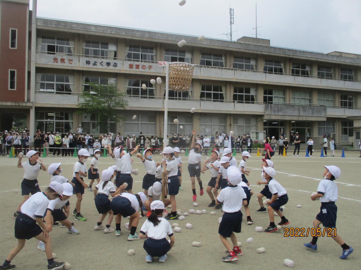 IMG_1168 IMG_1168